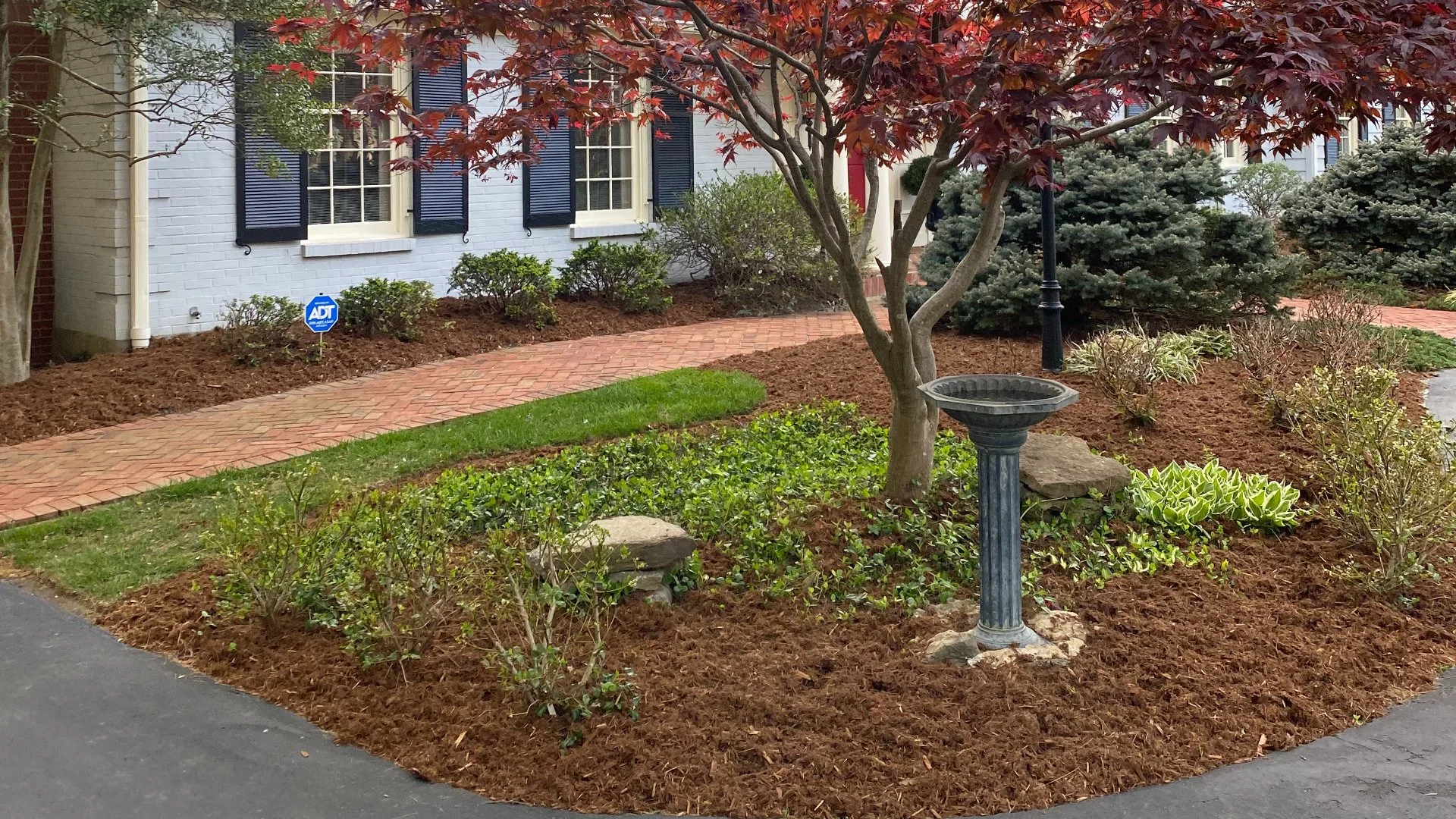Mulch Isn’t Just for Beauty - It Also Enhances Plant Health!