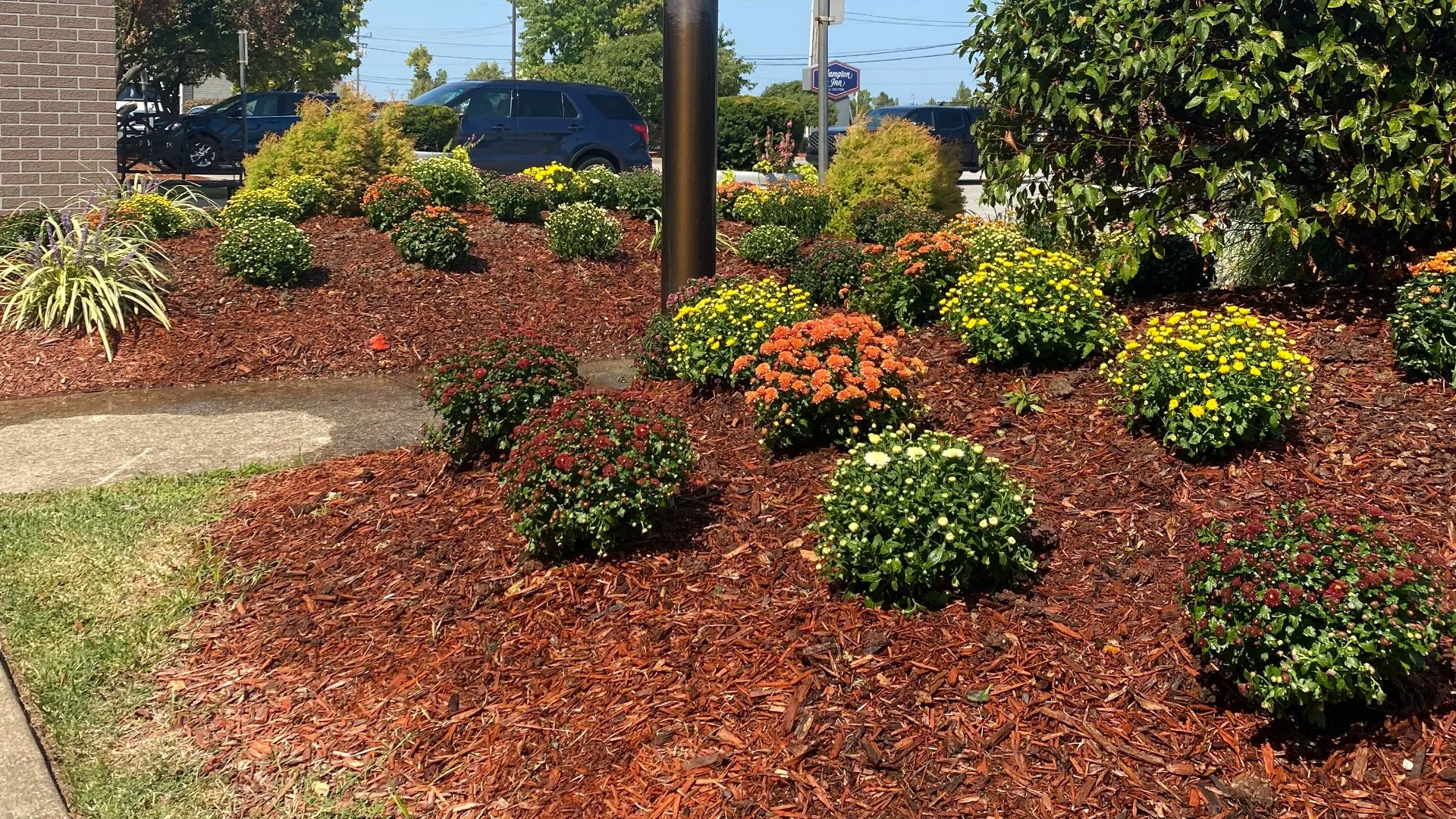 Tips for Creating a Low-Maintenance Landscape