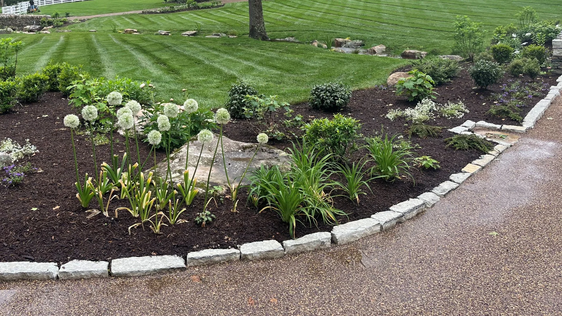 Why Should You Use Native Plants in Your Landscape?
