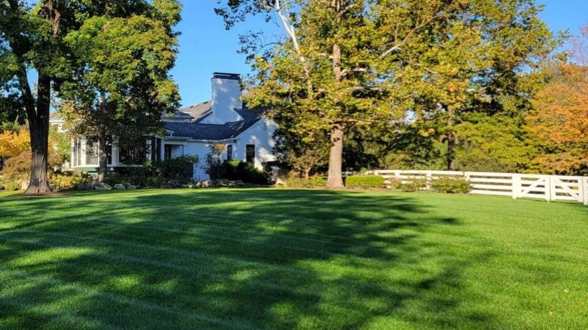 How Many Times per Month Should I Fertilize My Lawn?