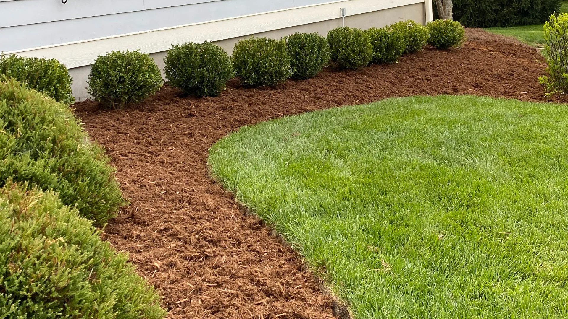 How Long Does Mulch Ground Cover Last For?