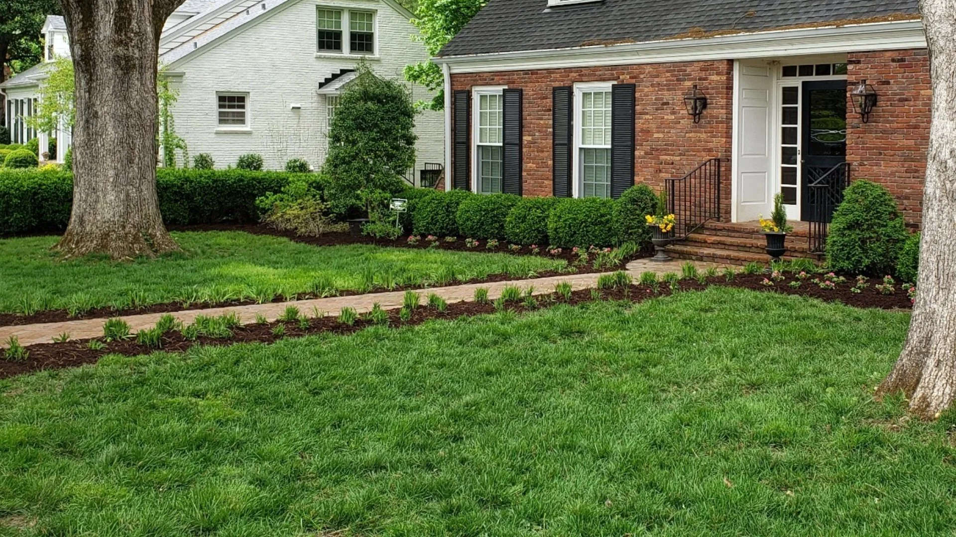 Don’t Skip Out on Weed Control, You’ll Regret It!