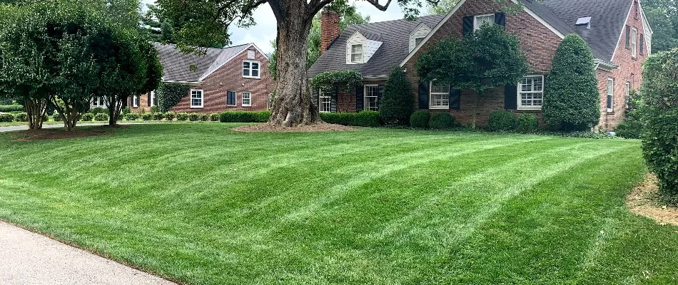 Brick house with a lush, green lawn and tree in Louisville, KY.