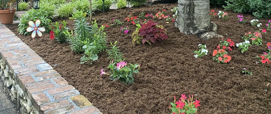 Landscape bed in Louisville, KY, with fresh mulch.