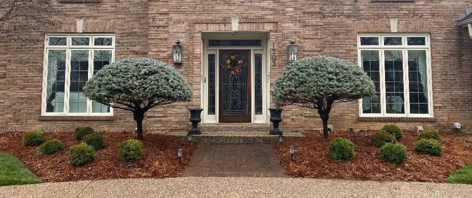 House in Louisville, KY, with mulched landscape with shrubs and small trees.