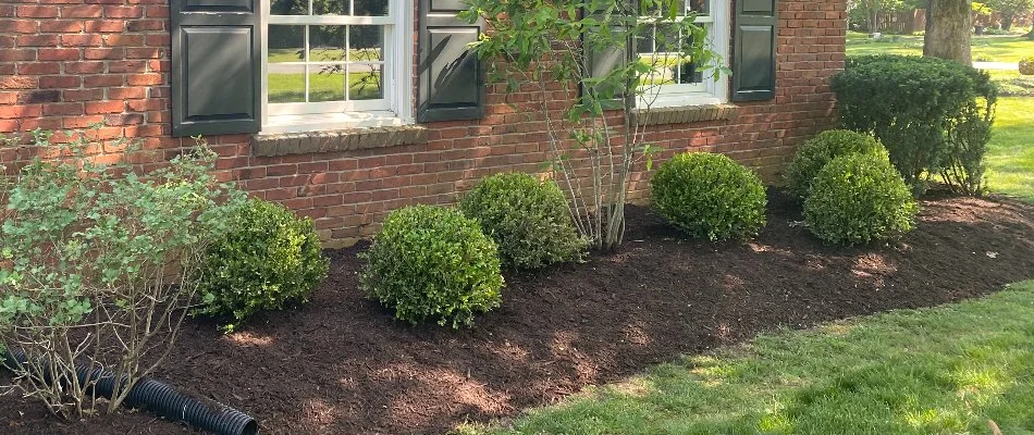 Landscape bed with mulch beside a house in Louisville, KY.