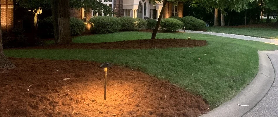 Lighting fixture in a mulched landscape bed in Louisville, KY.