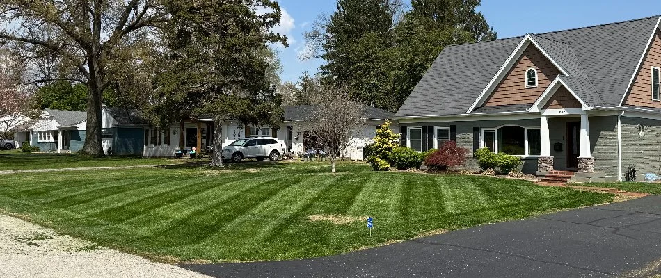 What Type of Grass Seed Should Be Used for Overseeding in Kentucky?