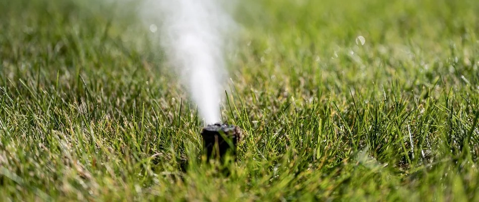 Water coming out of an irrigation sprinkler head in Louisville, KY, for winterization.