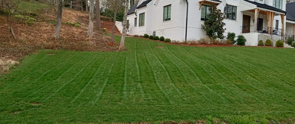 White house in Louisville, KY, with a large, green lawn near trees.