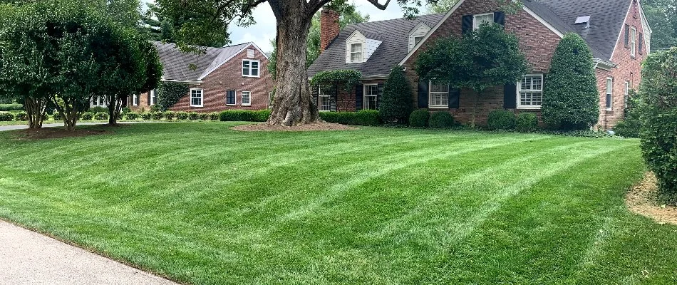 Fertilized lawn in the fall on a property in Louisville, KY.