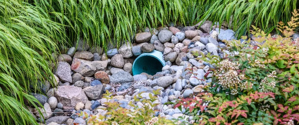French drain in Louisville, KY, with rocks, grass, and plants.
