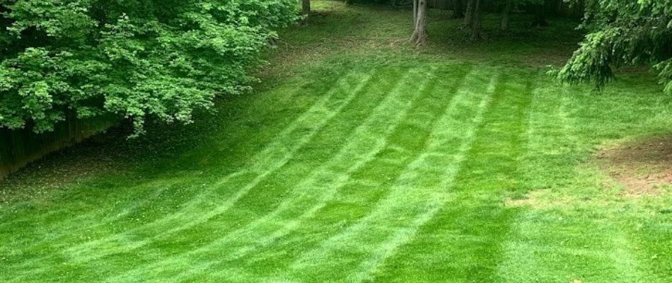 Large backyard in Indian Hills, KY with a freshly mowed lawn.
