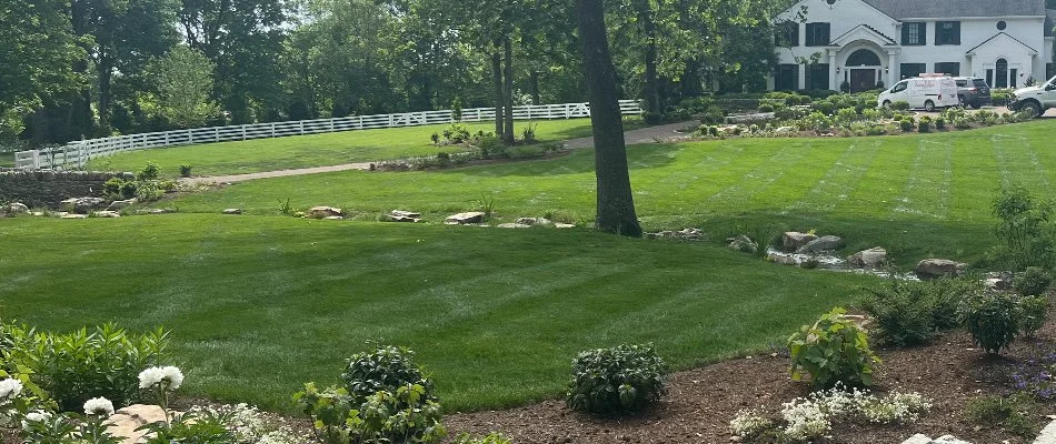 Green lawn in Watterson Park, KY, with trees and plants.