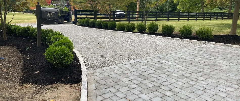 Green shrubs along a driveway in Seneca Gardens, KY.
