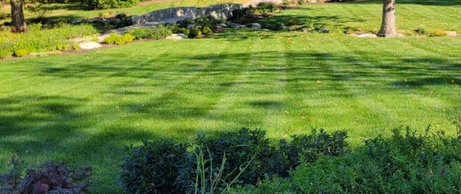 Healthy green lawn in Graymoor-Devondale, KY, with mowing pattern.