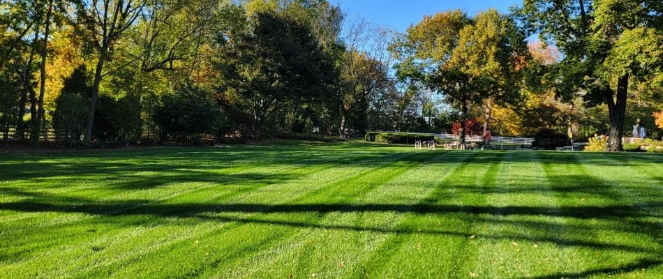 Healthy green lawn in Douglass Hills, KY, with a mowing pattern.