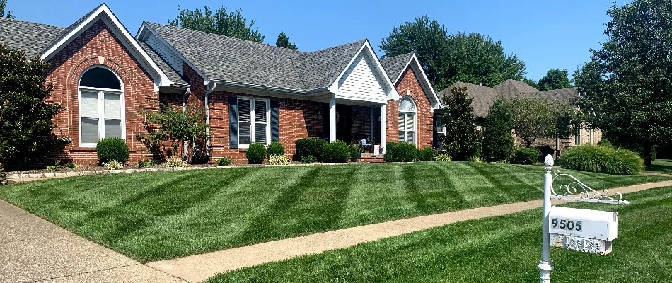 House in Louisville, KY, with freshly mowed grass and white mailbox.