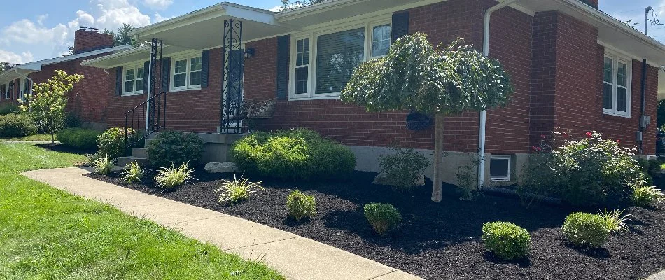 House in Louisville, KY, with mulched landscape bed and small shrubs.