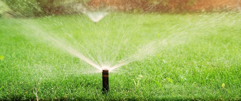 Lawn in Watterson Park, KY, with an irrigation sprinkler head.
