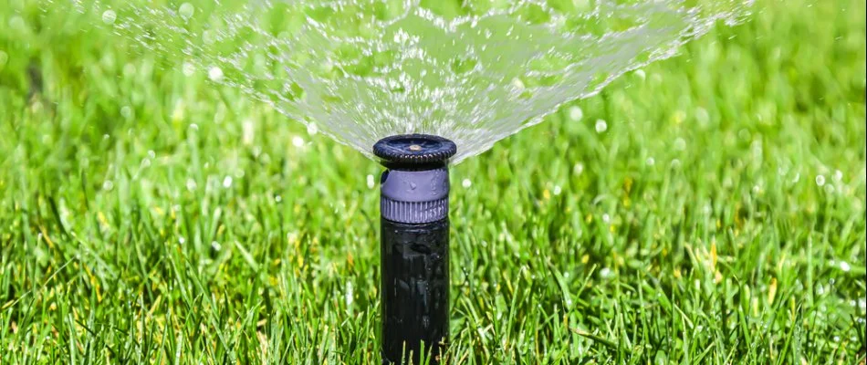 Black sprinkler head spraying water on lawn.