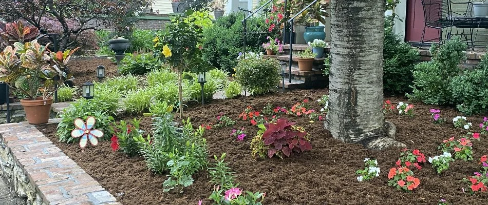 Landscape bed in Watterson Park, KY, with mulch, flowers, plants, and a tree.