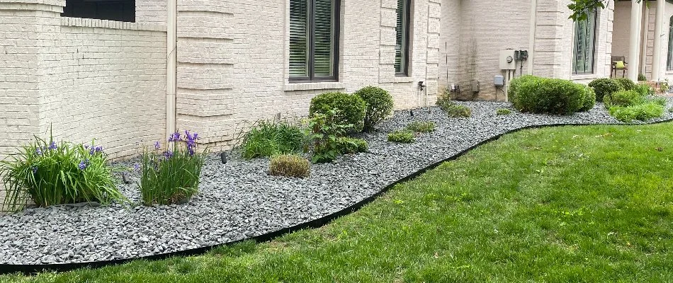 Landscape bed with rock ground cover and small shrubs in Louisville, KY.