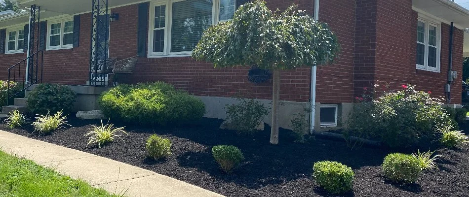 Landscape in Barbourmeade, KY, with mulch and plants.