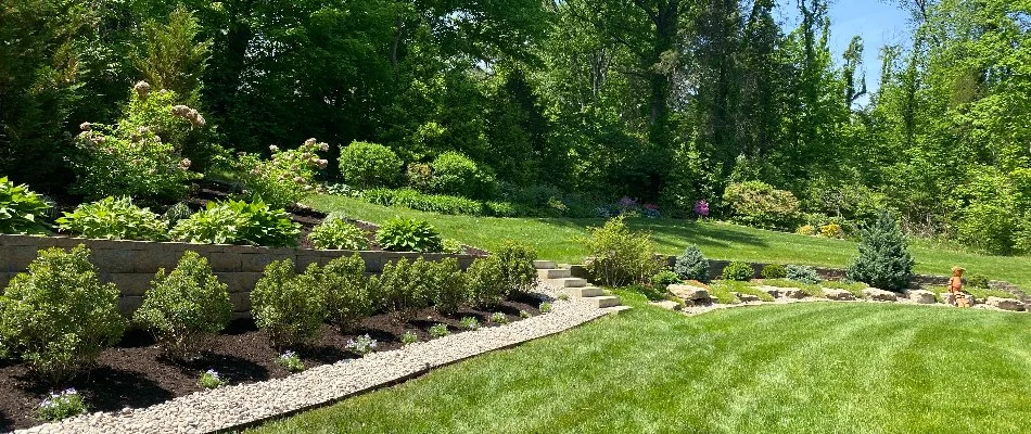 Huge backyard at a home in Prospect, KY.