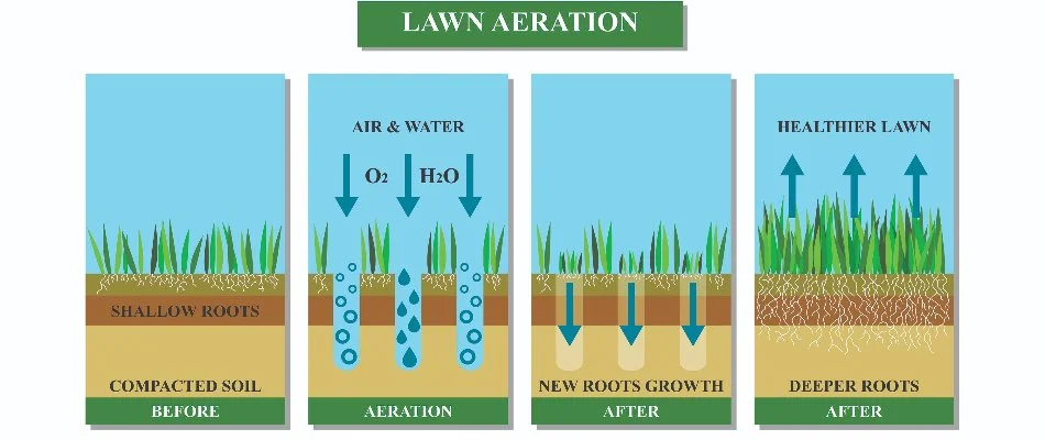 Core aeration diagram to show benefits for lawns in Louisville, KY.