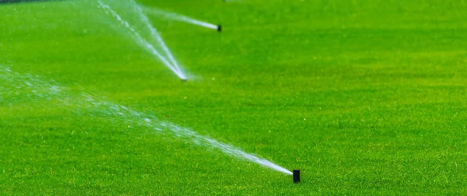 Lawn in Oak Park, IN, with three irrigation sprinkler heads.