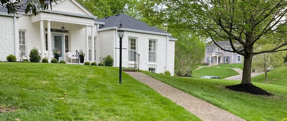 Lush green grass and trees near a house in Worthington Hills, KY.