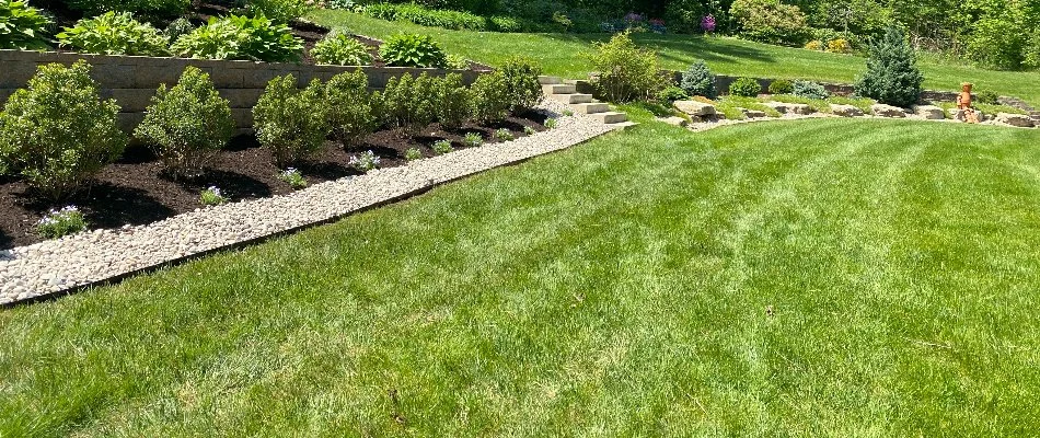 Lush, green grass with neat landscape and shrubs in Saint Regis Park, KY.