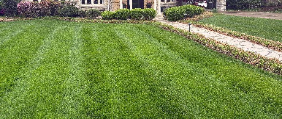 Lush lawn along a walkway in New Albany, IN.