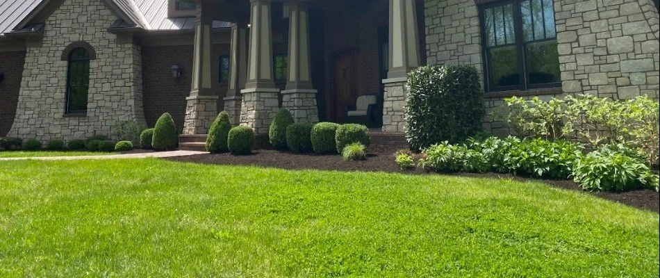 Front yard with green grass and beautiful landscaping on a property in Jeffersontown, KY.