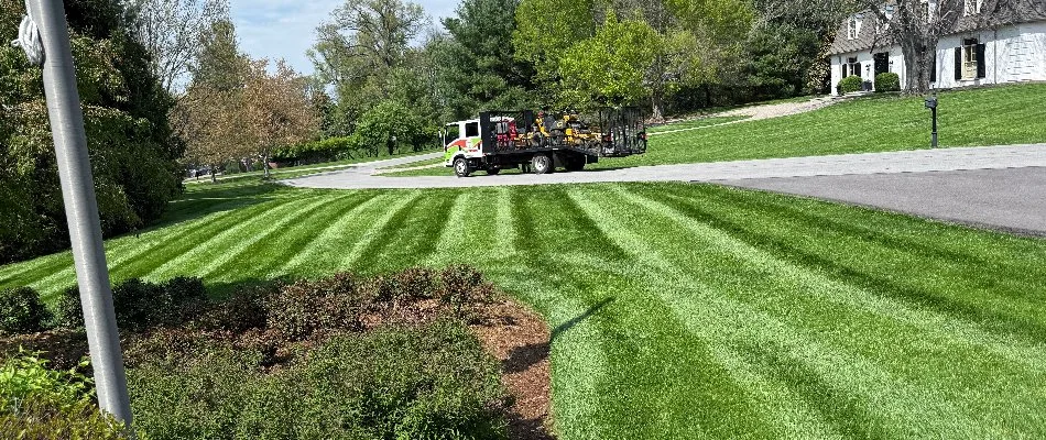 A freshly mowed lawn with distinct stripes and a landscaping truck in the background in Louisville, KY.