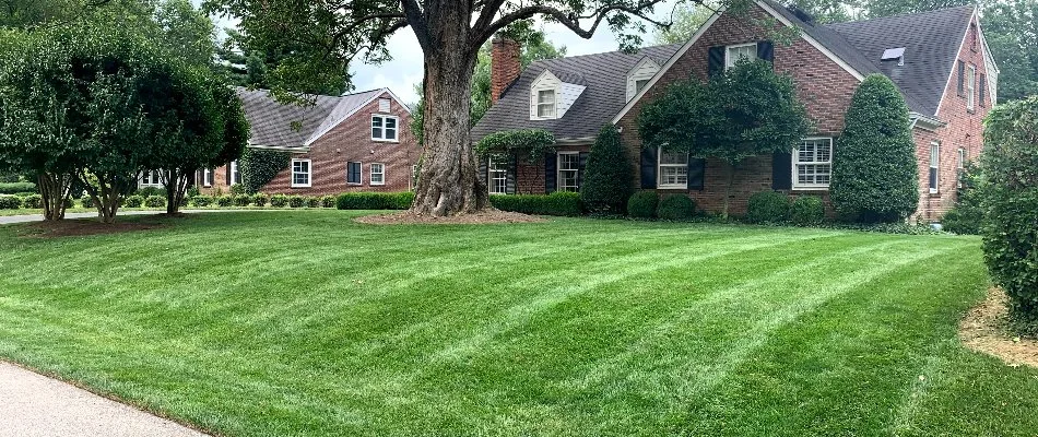 Mowed grass and lush trees by a house in Beechwood Village, KY.