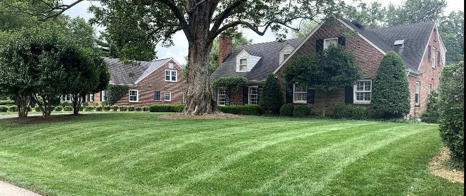 Mowed lawn and trees on a residential property in Indian Hills, KY.