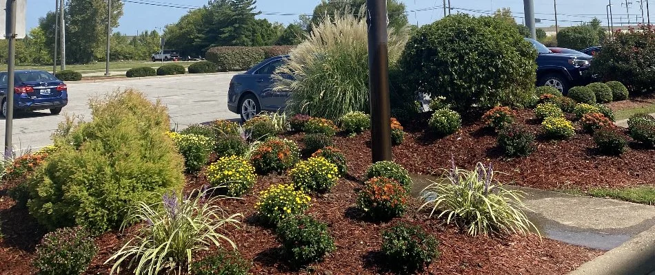 Parking lot at a hotel in Northfield, KY.