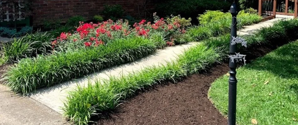 Landscape bed with plants and flowers on a property in Springhurst, KY.