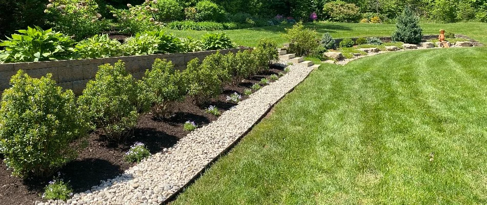 Neat lawn and mulched landscape beds with shrubs in Louisville, KY.