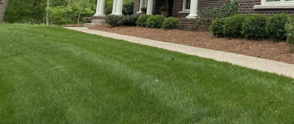 Healthy lawn outside residence in Louisville, KY.