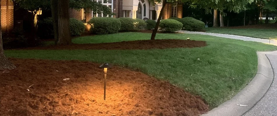 Outdoor lighting for front yard landscape in Louisville, KY.