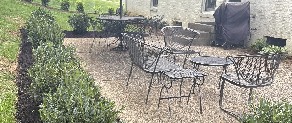 Plants around a patio in Graymoor-Devondale, KY.