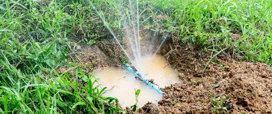 Puddle around a burst pipe of an irrigation system in Louisville, KY.