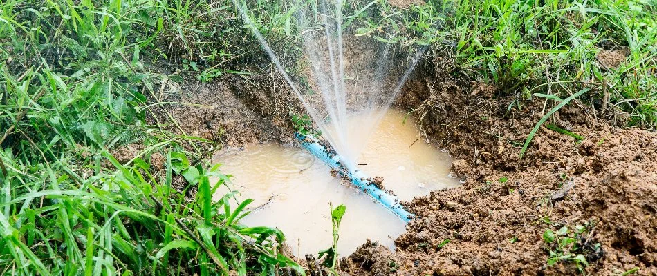 Puddle around a water line break on an irrigation system in Louisville, KY.