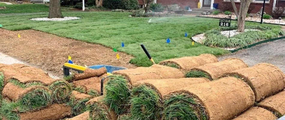 Rolls of sod for a new lawn in Louisville, KY.