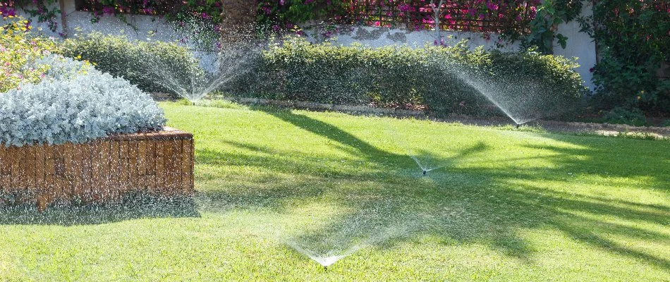 Sprinkler system on a lawn in Kentucky providing water to grass and plants.