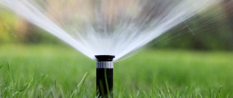 A sprinkler spraying water on to grass in Springhurst, KY.