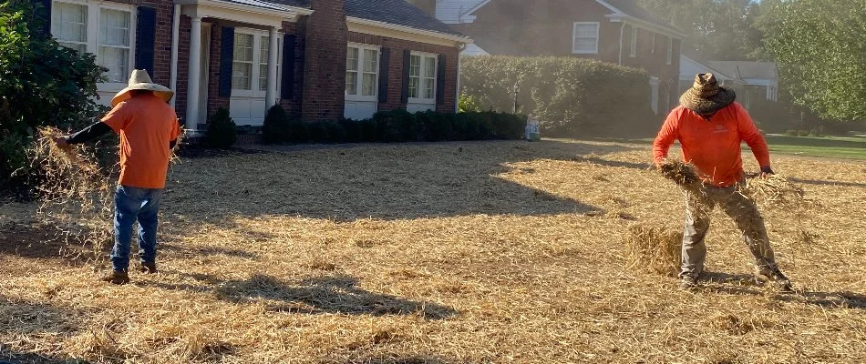 Crew spreading hay on the ground in Louisville, KY, after spreading grass seeds.
